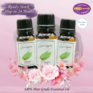 100% Pure Eucalyptus Essential Oil 10ml 尤加利精油